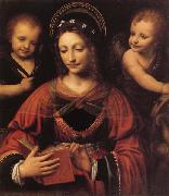 LUINI, Bernardino St.Catherine oil painting reproduction